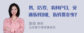 男，65岁，农村户口，交通伤残9级，伤残费多少？