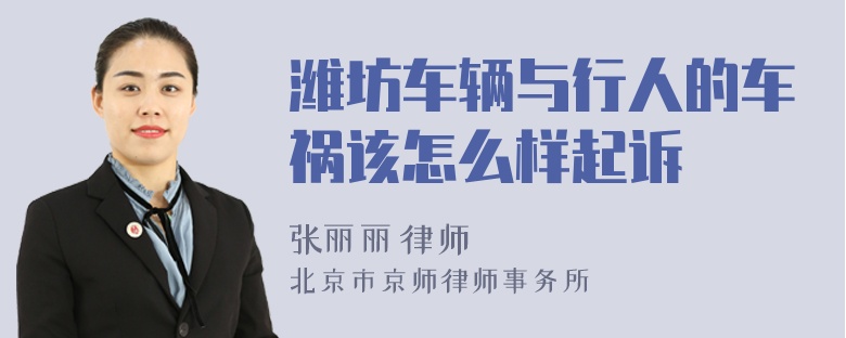 潍坊车辆与行人的车祸该怎么样起诉