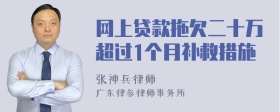 网上贷款拖欠二十万超过1个月补救措施