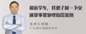 最近学车，我想了解一下交通肇事罪处理赔偿案例