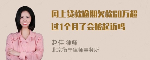 网上贷款逾期欠款60万超过1个月了会被起诉吗