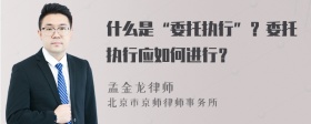 什么是“委托执行”？委托执行应如何进行？