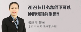 2023在什么条件下可以使用缓刑的刑罚？