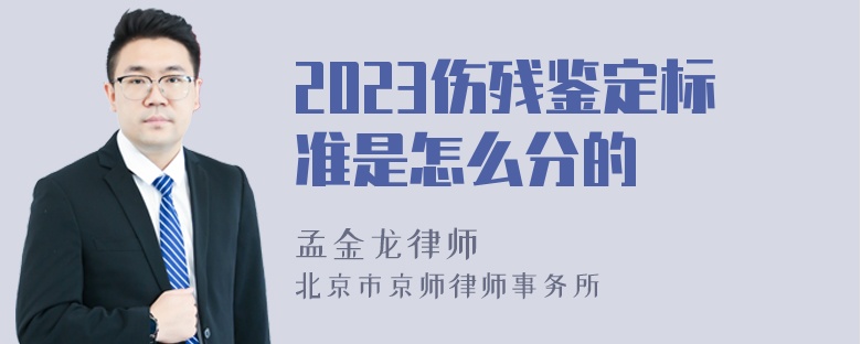 2023伤残鉴定标准是怎么分的