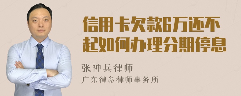 信用卡欠款6万还不起如何办理分期停息