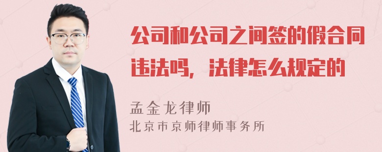 公司和公司之间签的假合同违法吗，法律怎么规定的