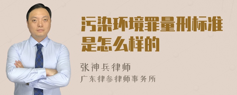 污染环境罪量刑标准是怎么样的