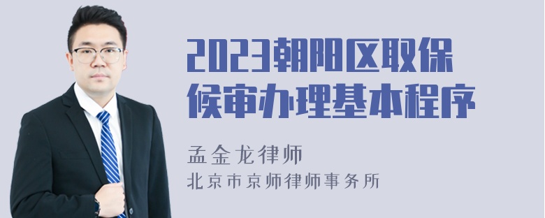 2023朝阳区取保候审办理基本程序