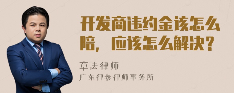 开发商违约金该怎么陪，应该怎么解决？