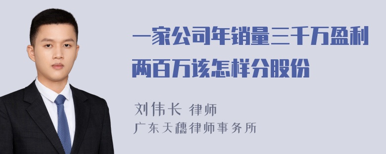 一家公司年销量三千万盈利两百万该怎样分股份