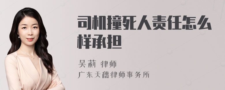 司机撞死人责任怎么样承担