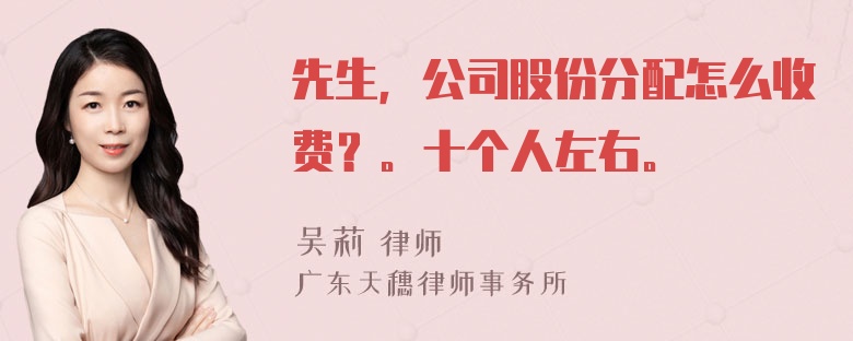 先生，公司股份分配怎么收费？。十个人左右。