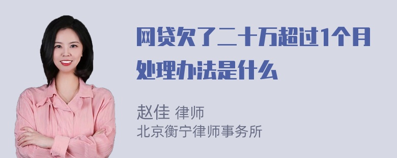 网贷欠了二十万超过1个月处理办法是什么