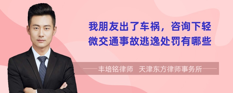 我朋友出了车祸，咨询下轻微交通事故逃逸处罚有哪些