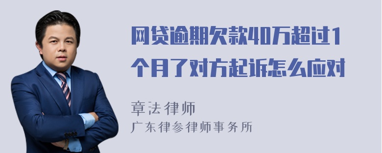 网贷逾期欠款40万超过1个月了对方起诉怎么应对