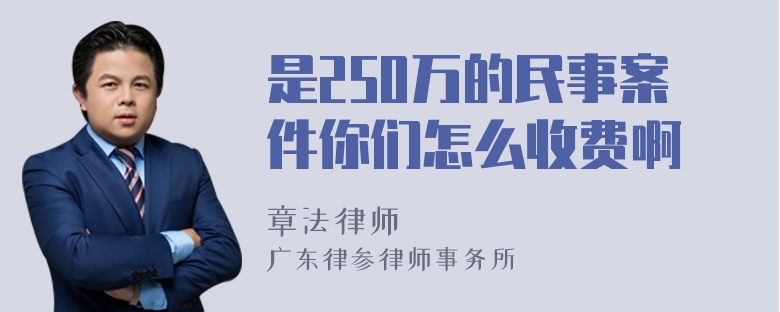 是250万的民事案件你们怎么收费啊