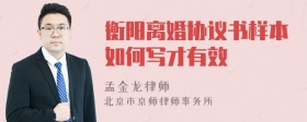 衡阳离婚协议书样本如何写才有效