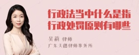 行政法当中什么是指行政处罚原则有哪些