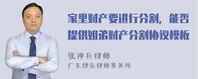 家里财产要进行分割，能否提供姐弟财产分割协议模板