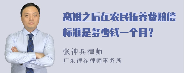 离婚之后在农民抚养费赔偿标准是多少钱一个月？