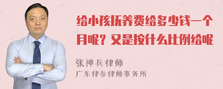 给小孩抚养费给多少钱一个月呢？又是按什么比例给呢