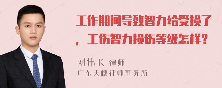 工作期间导致智力给受损了，工伤智力损伤等级怎样？