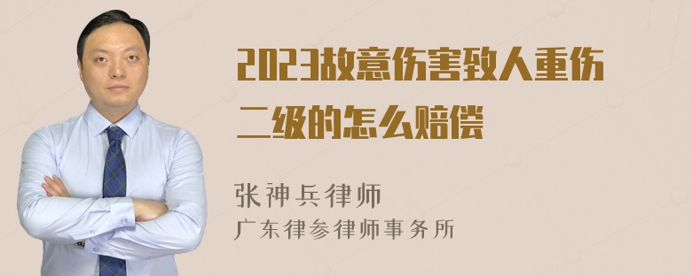 2023故意伤害致人重伤二级的怎么赔偿