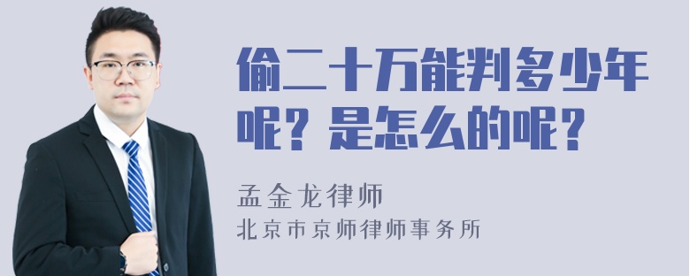 偷二十万能判多少年呢？是怎么的呢？