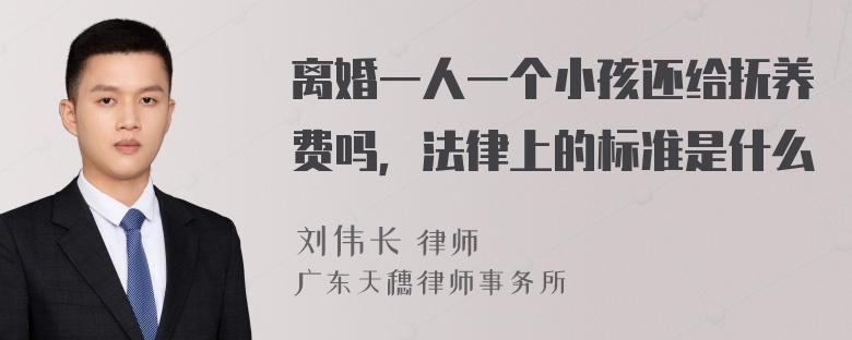 离婚一人一个小孩还给抚养费吗，法律上的标准是什么