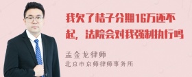 我欠了桔子分期16万还不起，法院会对我强制执行吗