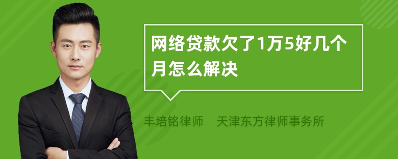 网络贷款欠了1万5好几个月怎么解决