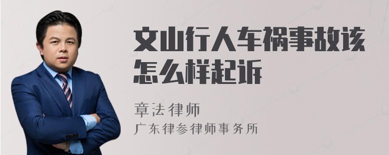 文山行人车祸事故该怎么样起诉