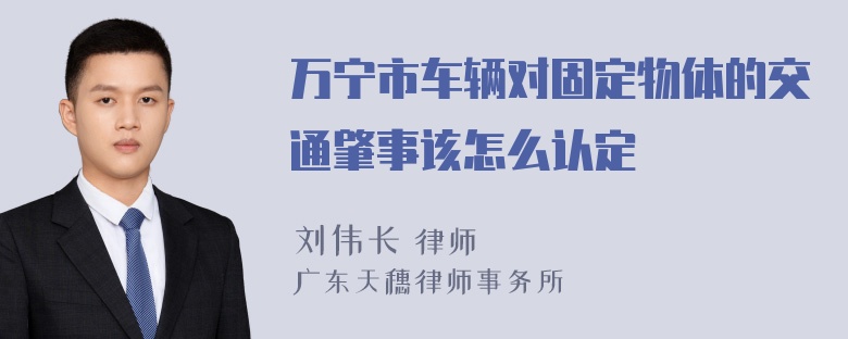 万宁市车辆对固定物体的交通肇事该怎么认定