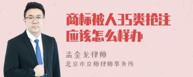 商标被人35类抢注应该怎么样办