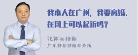 我本人在广州，我要离婚、在网上可以起诉吗？