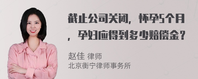 截止公司关闭，怀孕5个月，孕妇应得到多少赔偿金？