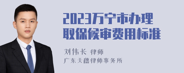 2023万宁市办理取保候审费用标准