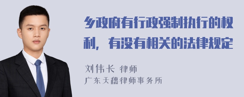 乡政府有行政强制执行的权利，有没有相关的法律规定