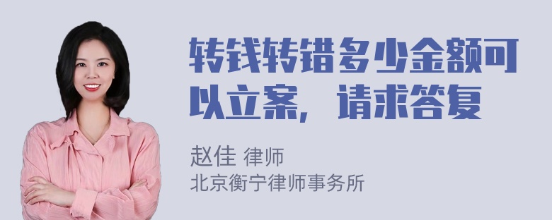 转钱转错多少金额可以立案，请求答复