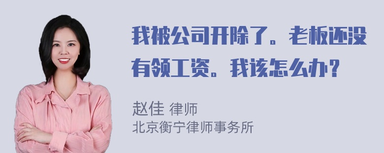 我被公司开除了。老板还没有领工资。我该怎么办？