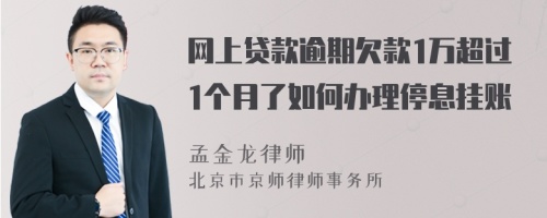 网上贷款逾期欠款1万超过1个月了如何办理停息挂账