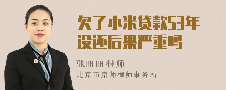 欠了小米贷款53年没还后果严重吗