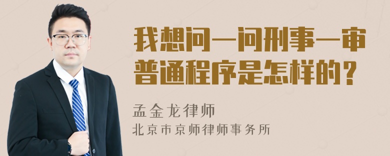 我想问一问刑事一审普通程序是怎样的？