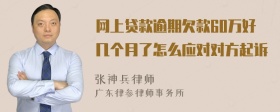 网上贷款逾期欠款60万好几个月了怎么应对对方起诉