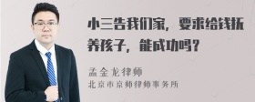 小三告我们家，要求给钱抚养孩子，能成功吗？