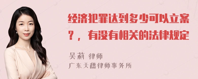 经济犯罪达到多少可以立案？，有没有相关的法律规定