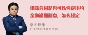 借款合同是否可以约定违约金和逾期利息，怎么规定