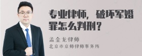 专业律师，破坏军婚罪怎么判刑？