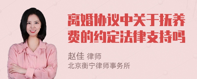 离婚协议中关于抚养费的约定法律支持吗