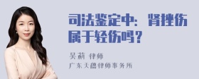 司法鉴定中：肾挫伤属于轻伤吗？